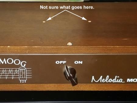 Moog Melodia (http://www.thereminworld.com/user/kiaya611)